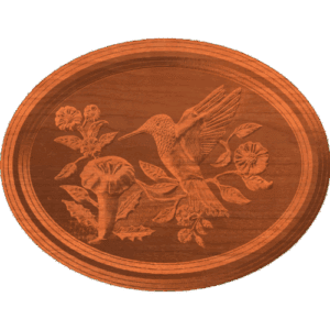 Hummingbird Scene 001 a 