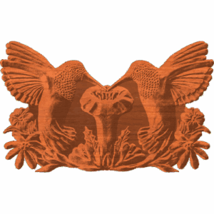 Hummingbird kisses II by VanBuskirk 097 