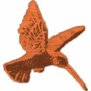 Humming Bird in Flight