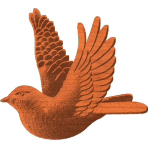 Robin In Flight Pattern