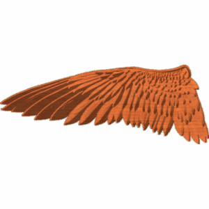 Hawk Wing