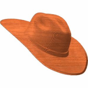 Cowboy Hat 001