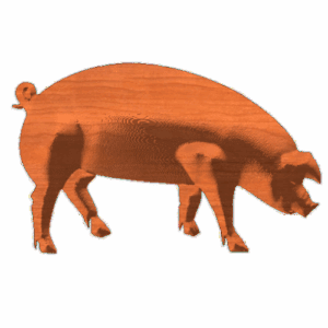 Pig25x4 1