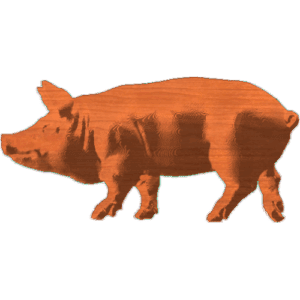 Pig_2x4_2