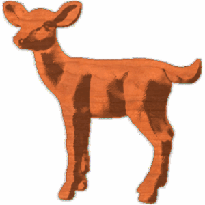 Fawn_23x24_1