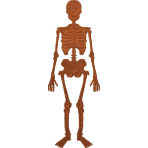 Scary Halloween Skeleton 004 A 