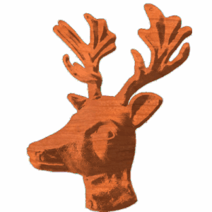 Reindeer