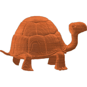 Turtle 01