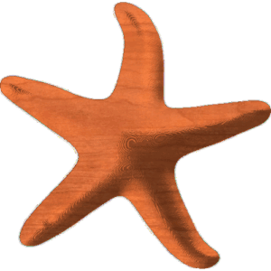 Starfish