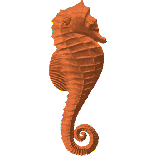 Seahorse - HCP - 0001