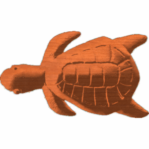 Turtle-01