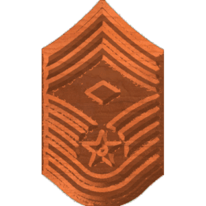 CMSgt1stSgt