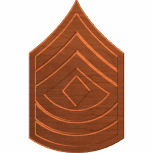 First Sergeant E8 Rank