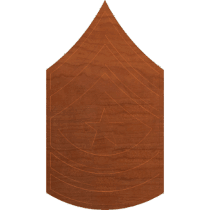 Army Rank Sergeant Major