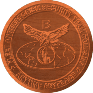 Fleet Antiterrorism Security Team Company