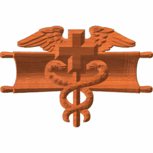 Expert Field Medical Badge