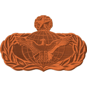 Security Forces Function Badge Master