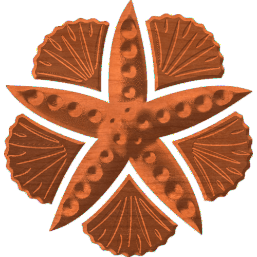Starfish&Shells