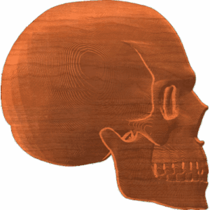 Skull Profile