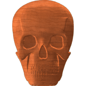 Skull Front