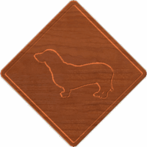 Dachshund Xing - CSF
