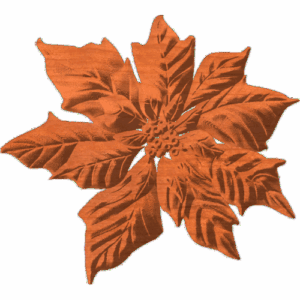 Poinsettia5x56 1