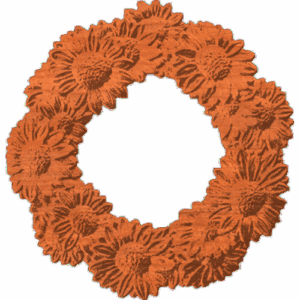 Daisies Frame Wreath