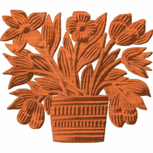 Potted Bloomer Flowers