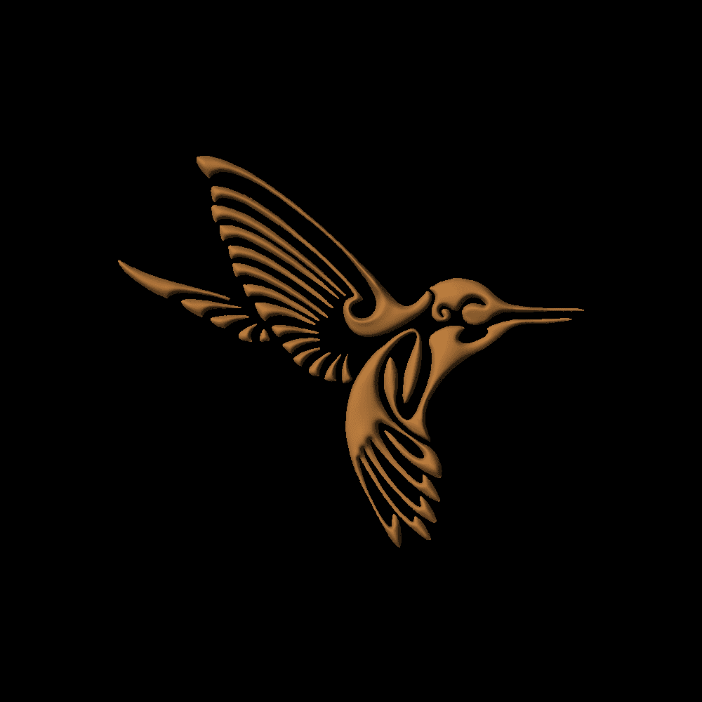 Hummingbird-01